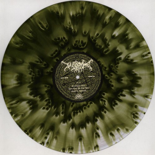 Worm - Foreverglade Green Vinyl Edition (2021 - US - Original) - Bild 3 von 3
