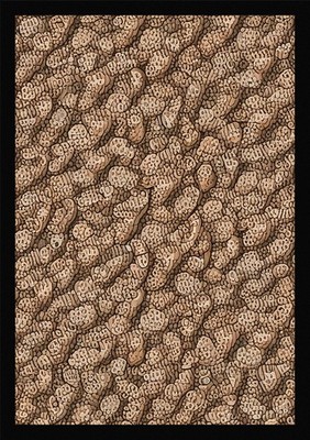 Moderner Oktopus gerahmtes Wandbild Poster Leinwanddruck Bild