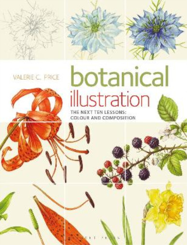 Thumbnail - Valerie Price Botanical Illustration (taschenbuch)