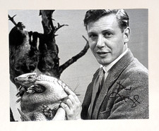 SIR DAVID ATTENBOROUGH signed 8x10" Photo BBC NATURAL HISTORY autograph COA