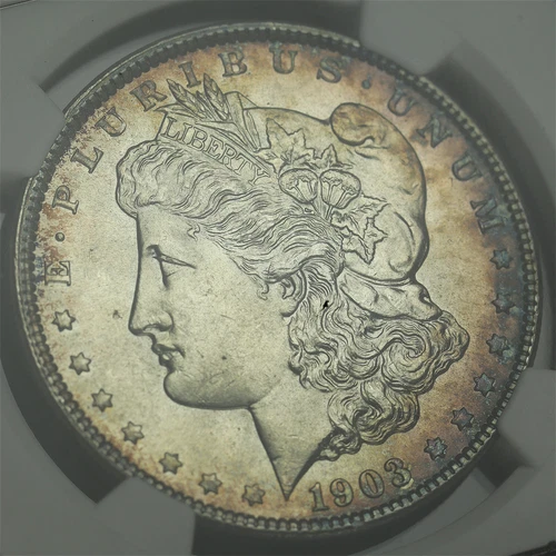 1903 Morgan Dollar NGC MS-63 - Obverse Blue & Violet Rim Toning!