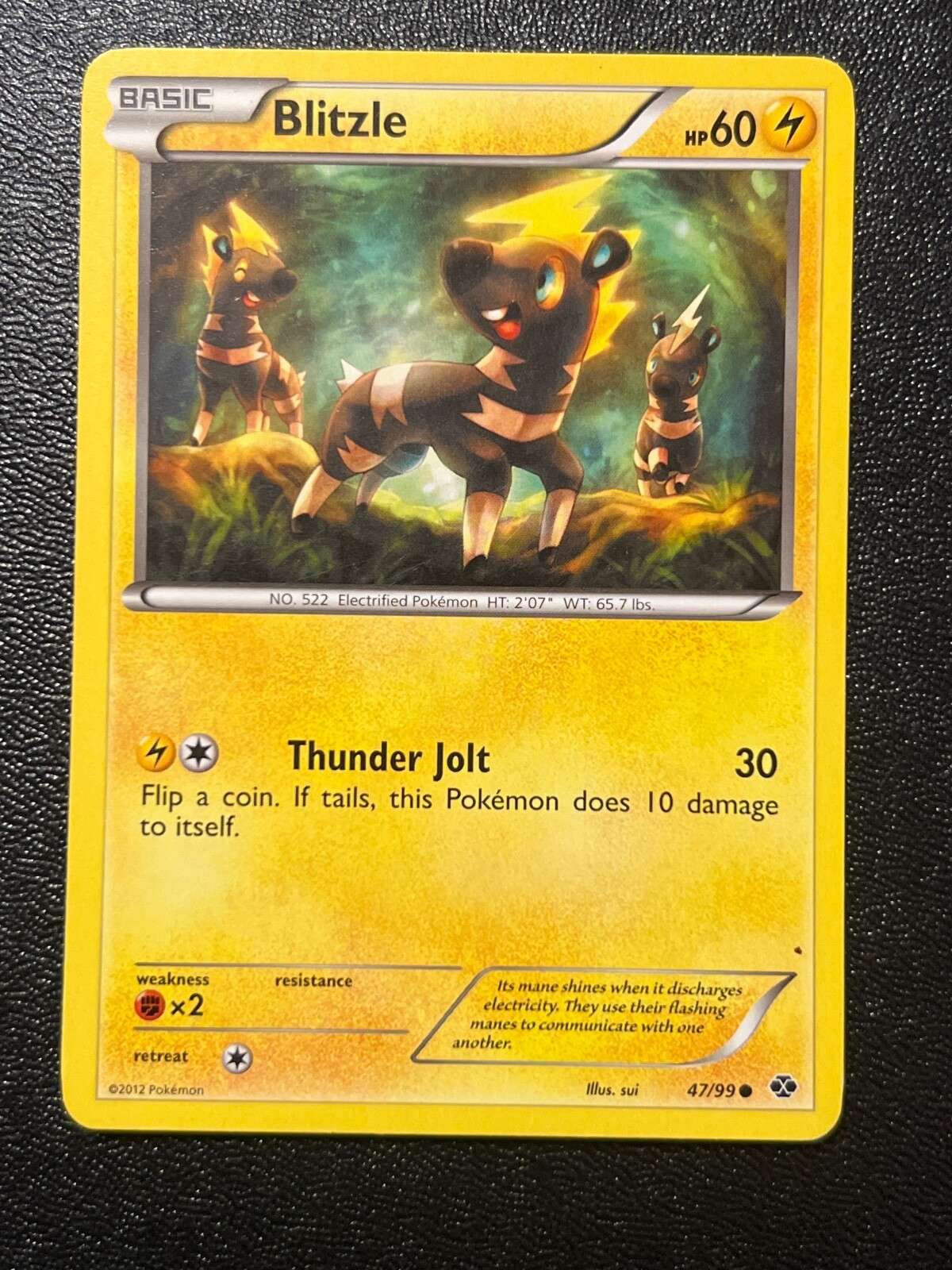 Pokemon TCG Blitzle B&W Next Destinies 47/99 Regular Common Card NM