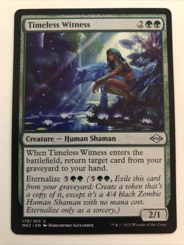 MTG Modern Horizons 2 Timeless Witness 179/303 NM