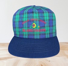 Vintage Rare Plaid Bland Farms Vidalia Sweet Onions Snapback Hat Cap Made in USA