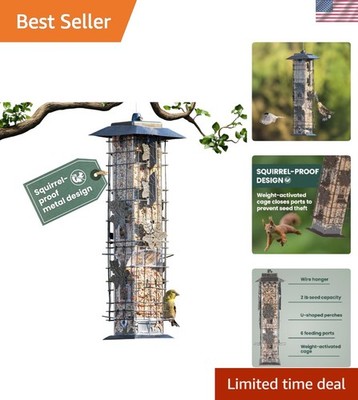Perky-Pet Squirrel-Be-Gone Bird Feeder - 2LB Capacity, Perfect for Gardens