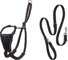 No Pull Harness Size Medium &  Training Leash Size Large, Black Combination Pack