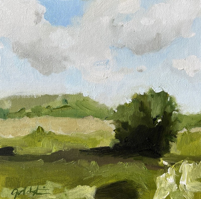 Oil Painting Everglades Florida Landscape Clouds Collect Original Fine Art