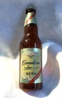 Rare Vintage Canadian Ace Beer Wall Sign Advertising in Shape of Bottle 9 1/4" T