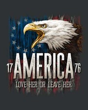 1776 America Panel 35.5" x 45" Panel Fabric