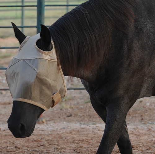 Cashel Econo Horse Equine Fly Mask With UV Protection - Picture 9 of 14