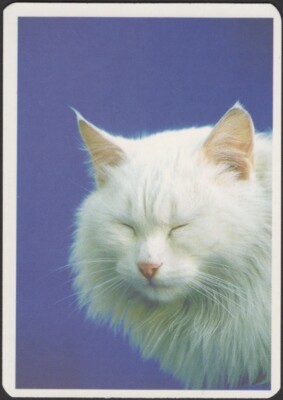 Playing Cards Single Card Old Vintage * CAT on CUSHION in ARMCHAIR * Art Picture