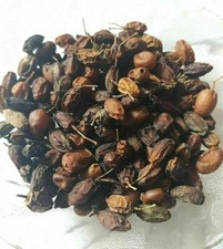 500 gms Organic Dried NEEM FRUIT SEEDS NIMBOLI Azadirachta Indica FREE SHIP