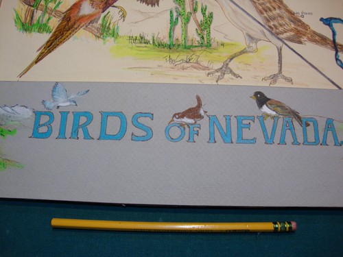 Birds of NAVADA Original art By Alexander Hasse 1981 size 28x22 inch - Picture 4 of 14