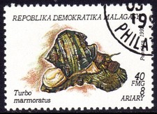 MALAGASY used 2/8