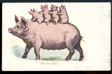 1907 Pig Family Illustration "On the Hog" Vintage Novelty Rieder Postcard