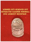 Extracted-Wormed Out - WILLIAMS CLEANER MINIBALL.  Dug on LOOKOUT MOUNTAIN Tenn.