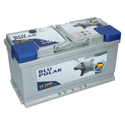 Starterbatterie 12V 100Ah 870A/EN Bären Blu Polar Autobatterie Neu Wartungsfrei