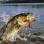 Fishing stuff and other things too