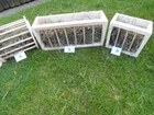 Bild 3 von 13