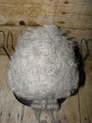 Bild 9 von 19