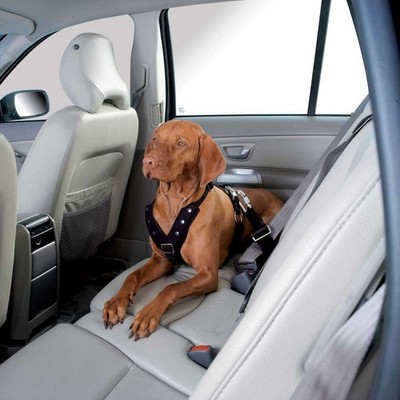 HUNTER Autosicherheitsgeschirr Easy Comfort Hund Auto Gurt S+M schwarz