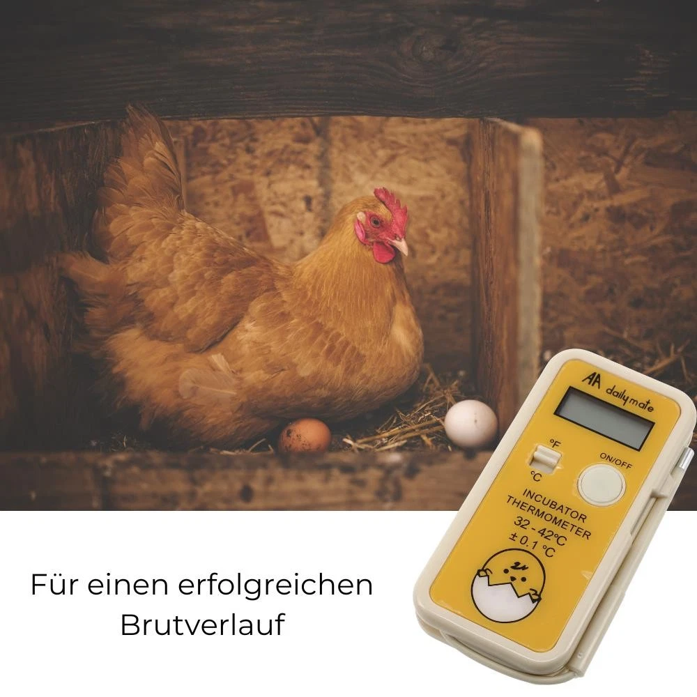 Bild 4 von 6
