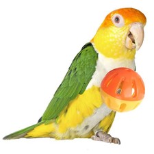 Super Bird Creations SB1055 Birdie Balls 2 Count Pack of 1 , Varies