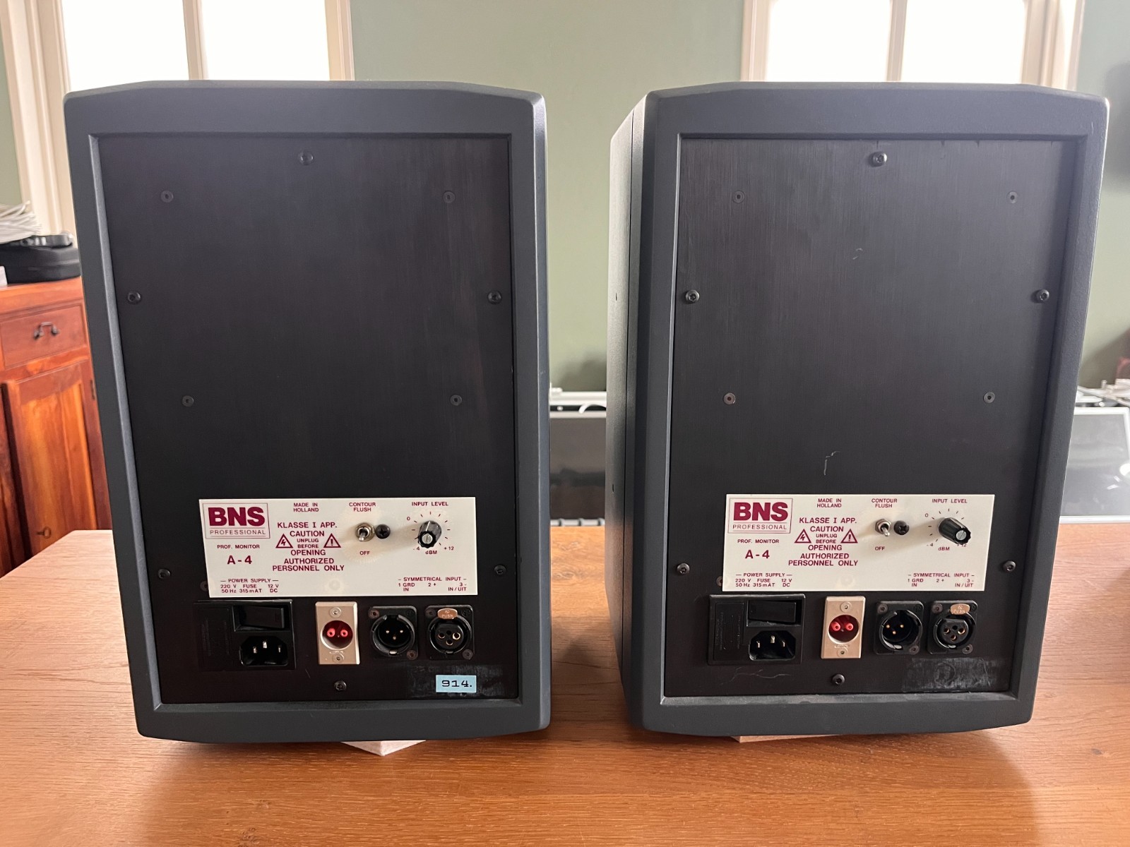 Foto 2 van BNS A4 Professional Monitor speakers (Pair)