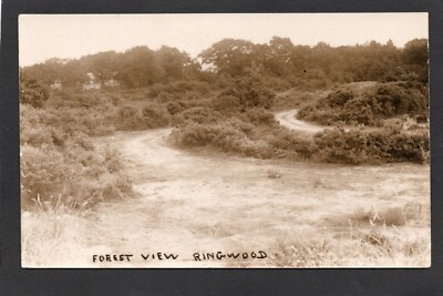 Postkarte Ringwood bei Burley New Forest Hampshire Waldansicht frühe RP