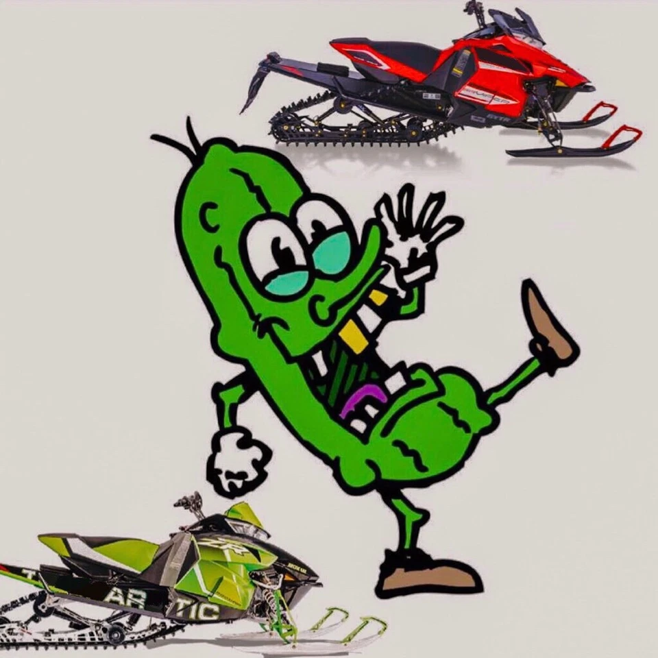 Protetor de picles Arctic Cat & Yamaha Snowmobile corrente de tarugo - Imagem 2 de 4