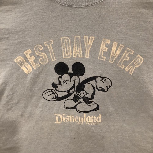 disney resort Blue T Shirt Mickey Mouse 2XL Best Day Ever - Picture 6 of 12