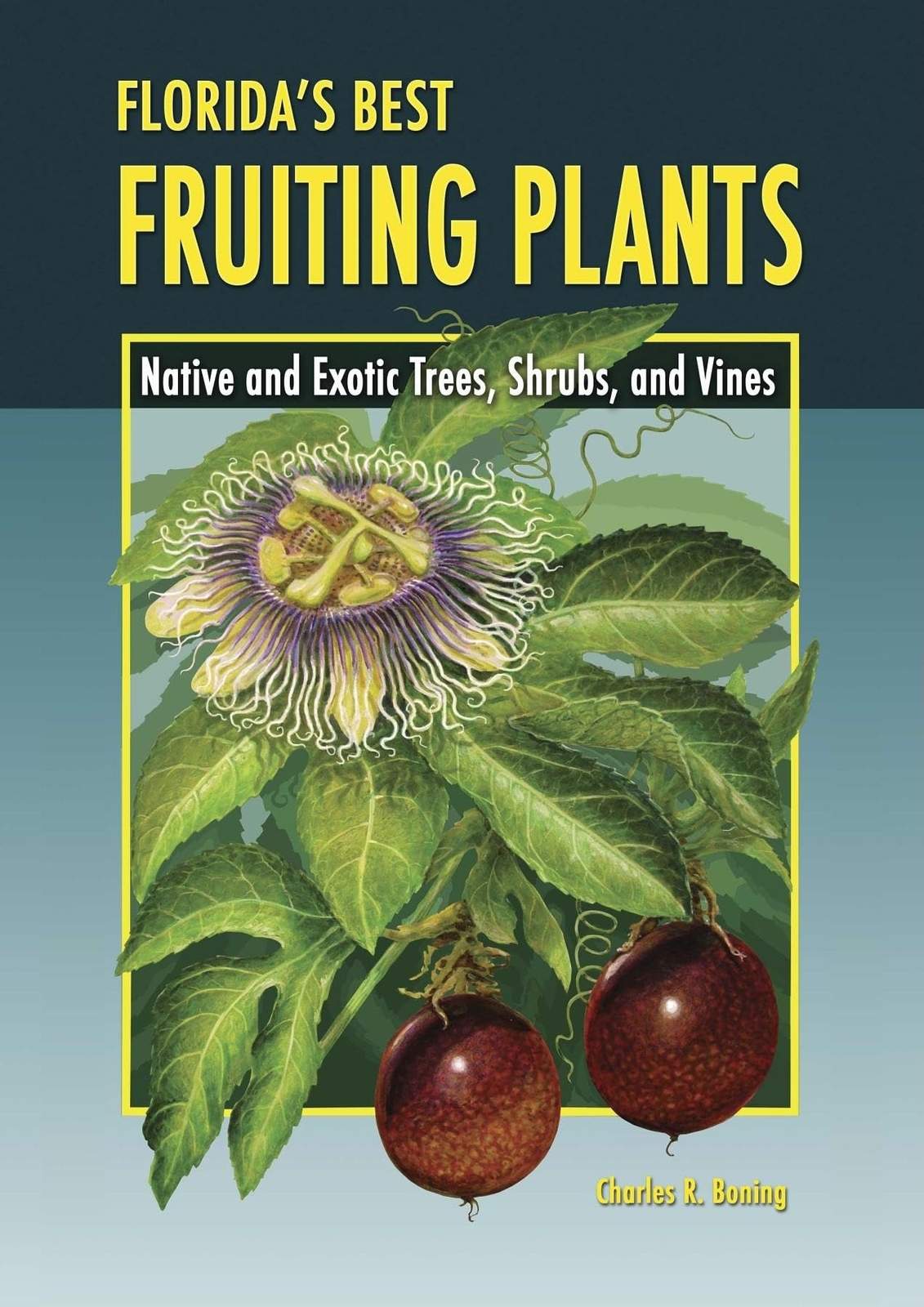 Florida's Best Fruiting Plants: Native and Exotic Trees, Shrubs, and Vines by B,
