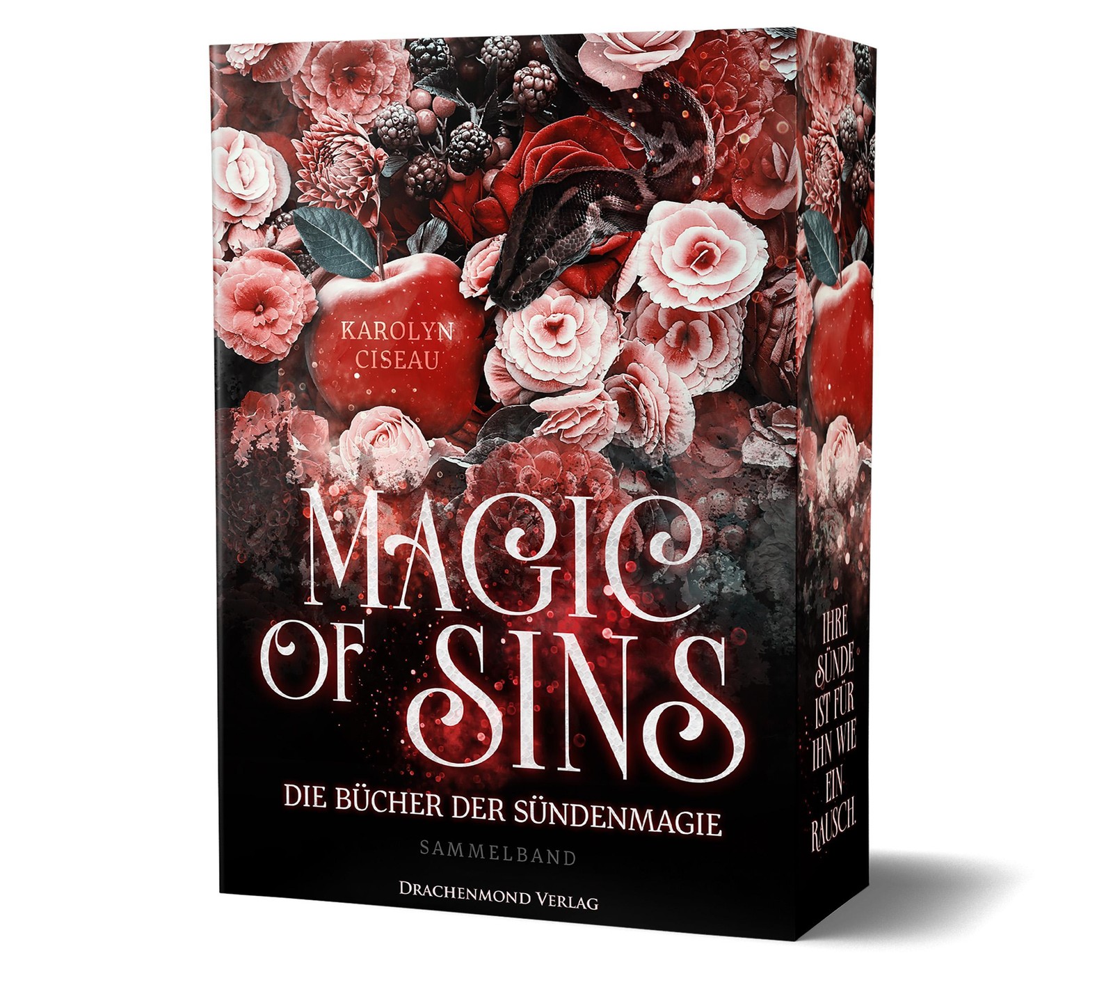Drachenmond-Verlag Magic Of Sins - Bild 2