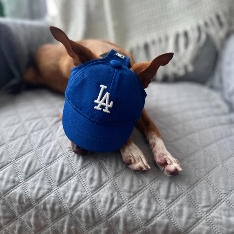 Genuine MLB Los Angeles Dodgers LA Logo Pet Dog Comfortable Cap Royal Blue - Image 4 of 4