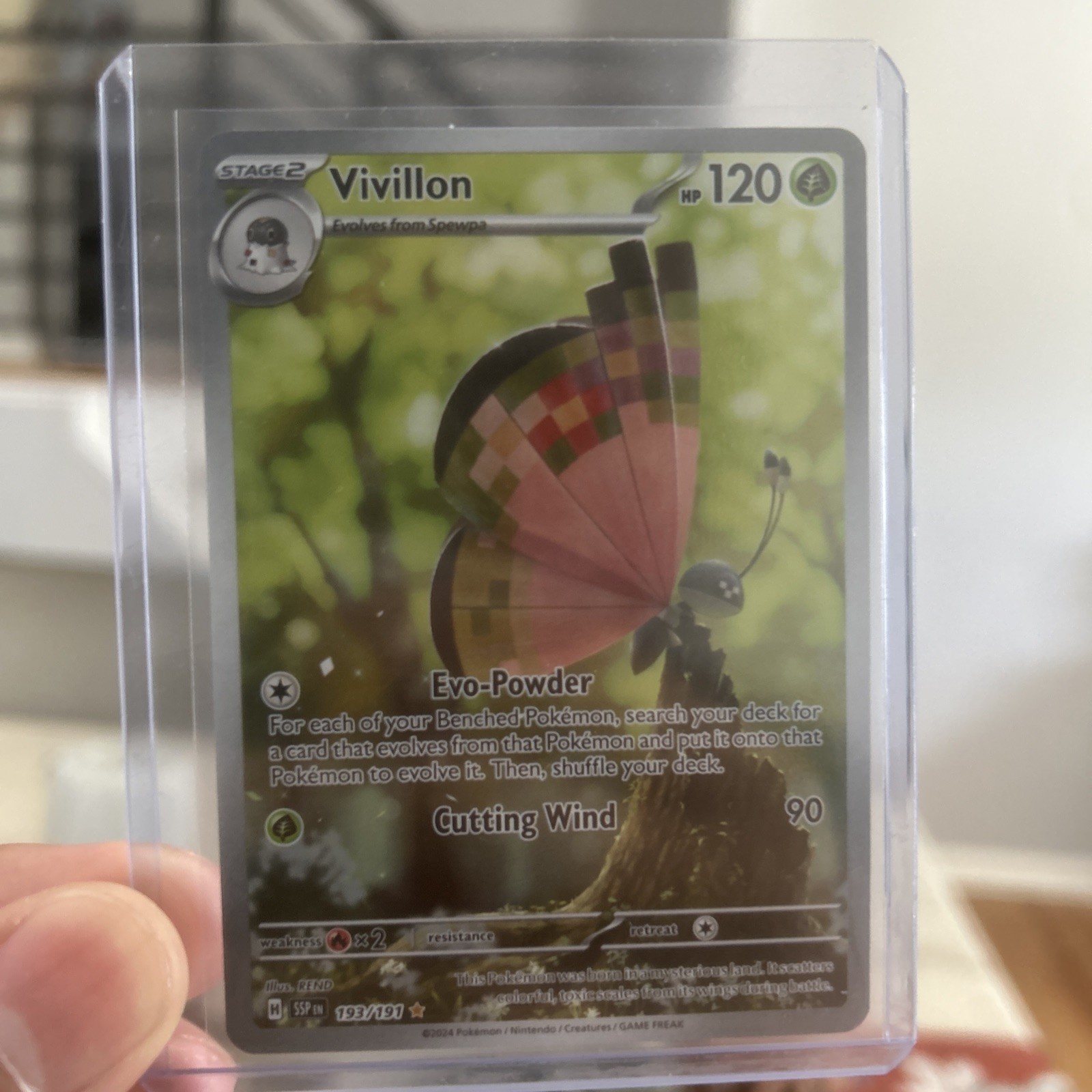 Vivillon 193/191 Sv08: Surging Sparks Holo Illustration Rare Mint condition