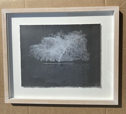 Limited Edition Serigraph Silkscreen Screen print A. Harley Willow Tree Large - Picture 7 of 22