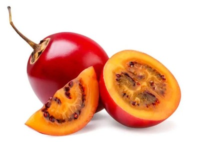 1000++ Exotic Tree Tomato Seedss (Solanum betaceum) var. Red Tamarillo
