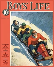 Decoration Poster.Home room art.Interior design.Winter snow Bobsleigh sport.7422