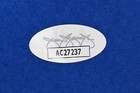 RON SANTO Signed Mitchell & Ness 1969 Throwback Chicago Cubs Jersey JSA COA — photo 3