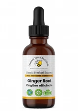 Ginger Root Tincture 1oz | Zingiber officinale | Digestion & Immune Support