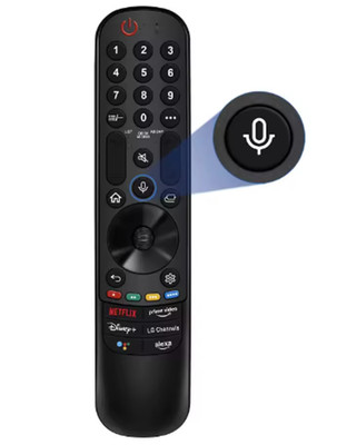 Ersatz Magic Fernbedienung MR22GA/GN für Smart TV mit Sprache und Zeiger