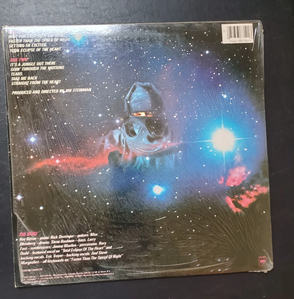 Bonnie Tyler - быстрее, чем скорость ночи (VG +/VG +) виниловая пластинка LP - Изображение 2 из 4