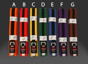 uk judo belts