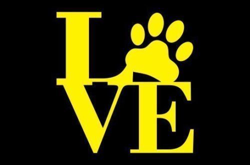 Love Paw Sticker Vinyl Decal Pet Dog Cat Wall Art Shape Car Window Animal Cute - Picture 11 of 14