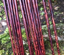 3X Smooth Round Purple Sandalwood Stick for Knitting Needles Timber Lumber