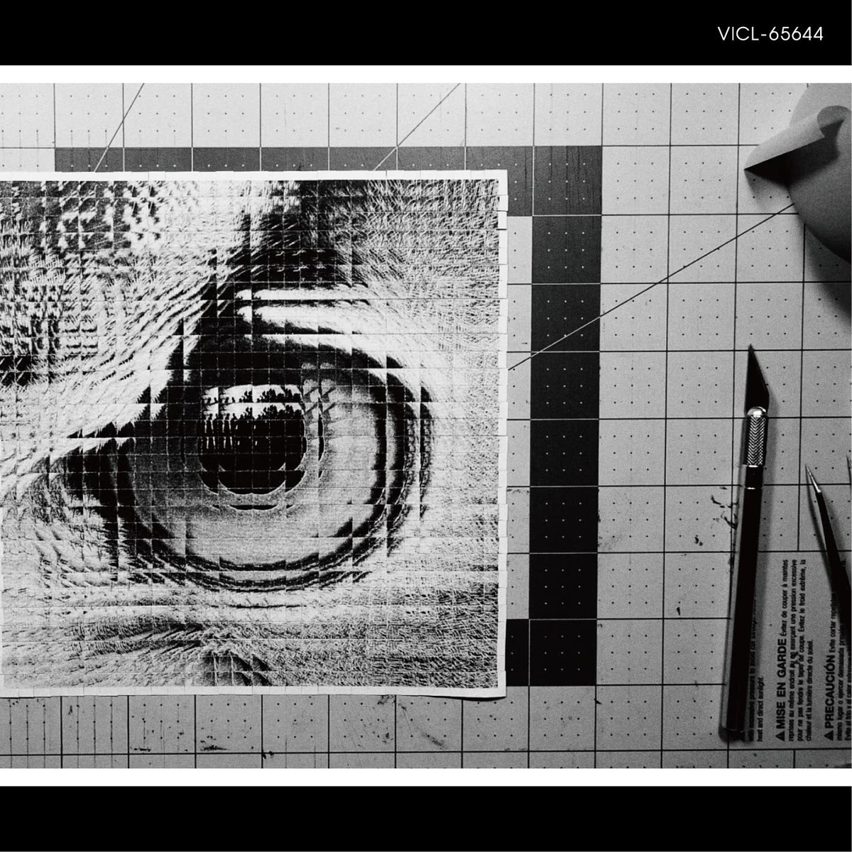 邦楽 ADAPT CD CD] Adapt Nomal Edition Sakanaction VICL-65644 J-Pop Concept Album