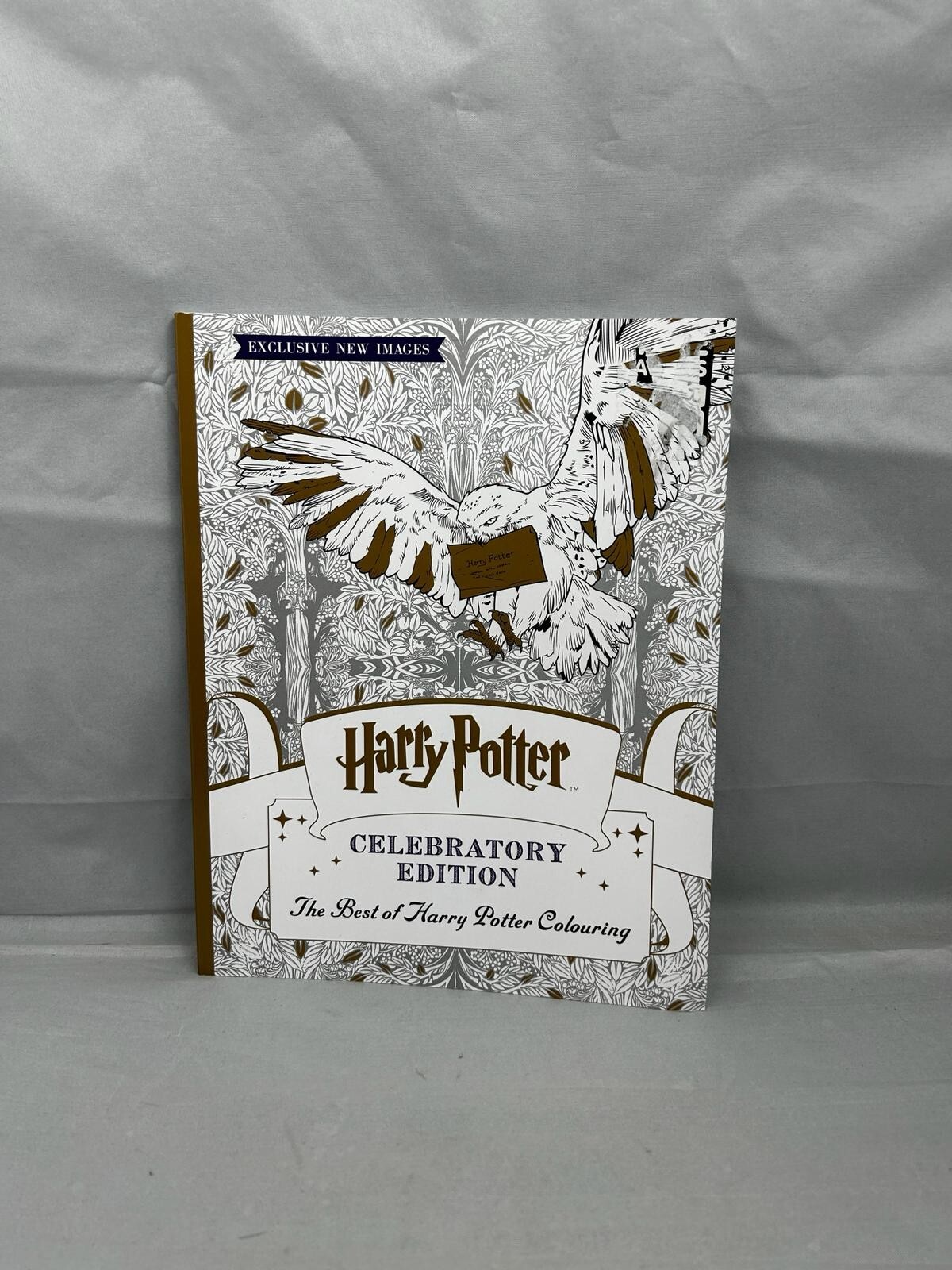 Harry Potter Colouring Book Celebratory Edition: The Best of Harry ...