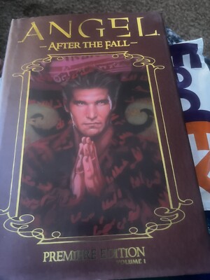 Angel After The Fall All 17 Comics In One Book