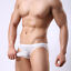 Miniaturansicht 8  - Men&#039;s Underwear Mesh Men Thongs See Through Briefs Bodysuit Low Waist Underpants