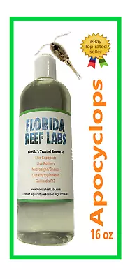 LIVE Copepods Apocyclops (Apocalypse) - 16oz - Florida Reef Labs®